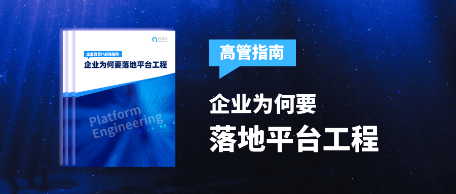 ebook下载 | 《企业高管IT战略指南——为何要落地平台工程》